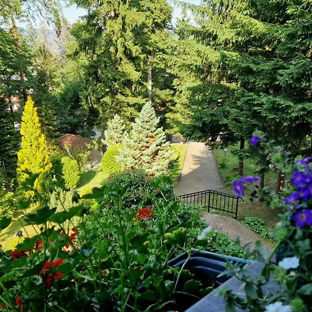 1910 3* Карпач