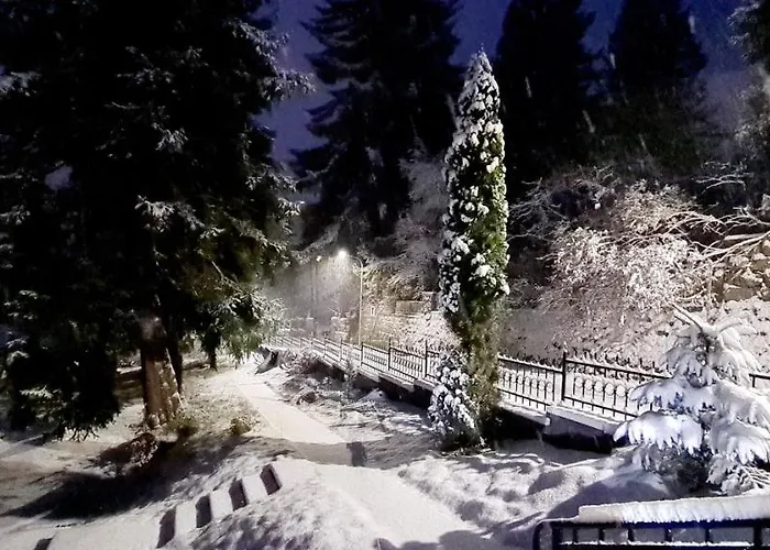 1910 Гостевой дом