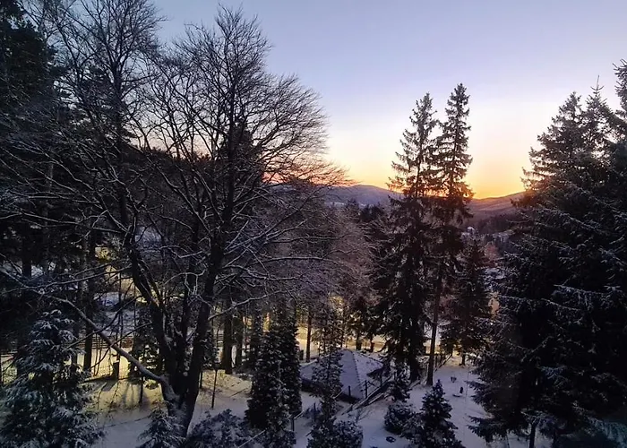 1910 Гостевой дом 3*