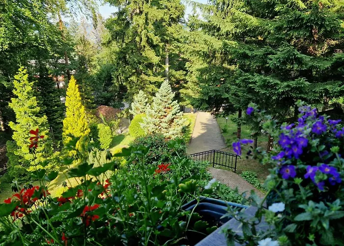 1910 3* Карпач