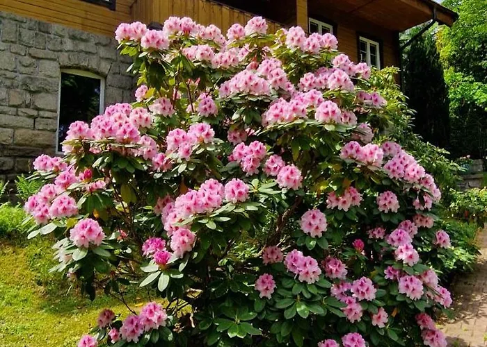 1910 Гостевой дом 3*