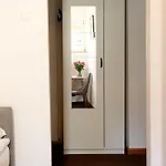 1910 3* カルパッチ