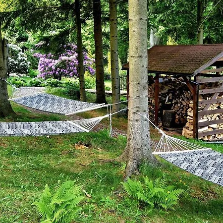 1910 Πανσιόν 3*