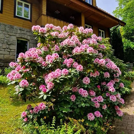 1910 Maison d'hôtes 3*