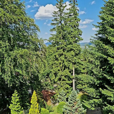 1910 Πανσιόν 3*