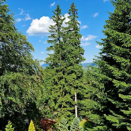 1910 Maison d'hôtes Karpacz