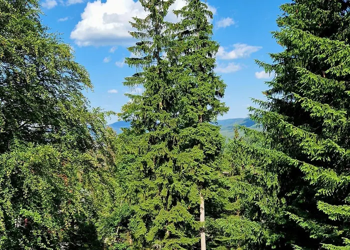 1910 Maison d'hôtes Karpacz